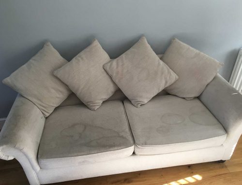 Upholstery Cleaning in the home